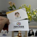 15개월아기 안양산본군포의왕 사진관 9컷성장기념촬영 단미스냅 후기