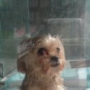 건국동물병원 이미지