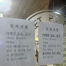 시크릿피시방 이미지