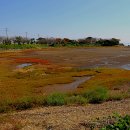 남문토방펜션 이미지