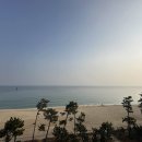 호텔 주노 | [강릉]경포대 호텔 주노 내돈내산 후기(루프탑 객실)