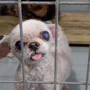 덕풍지구대 이미지