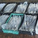 보경수산 이미지