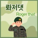 카피댓 이미지