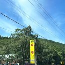 지향가든 | 수영장 무료이용 가능한 담양 계곡 지향가든 주말 방문후기