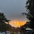 주야편의점 | 전동성당/ 전주 시그니처 호텔 반려견 동반룸&amp;일반룸, 조식/ 덕진공원 야경/ 가맥집 초원 편의점 황태구이)