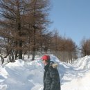 섬강목장 이미지