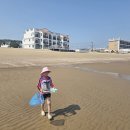 1박2일펜션 | 태안 1박2일 여행, 학암포 해변 해루질 후기 (센티마르 펜션 추천)