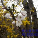 금호2차아파트 이미지