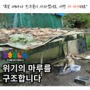 "말복날이 제 차례래요" 마루, 구조 동의를 요청합니다 이미지