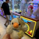 오리게임랜드 이미지