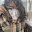 미스미스터헤어숍 | 이모저모