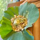 꼴미 | 가족끼리 함께가고싶은(꽃뫼카페와 연잎빙수) 다녀온 후기