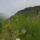 DMZ 평화의 길 4코스 ☆☆☆강을건너, 사람에게닿다 이미지
