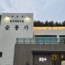 거제 순봉가 솔직 후기｜소노캄 거제 근처 현지인 한우 맛집 이라길래 다녀왔는데...