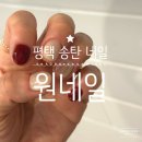 평택 송탄 네일, 마음에 쏙 드는 손 젤 원네일