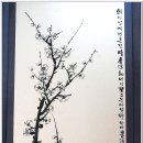 진도 솔마루미술관 이미지