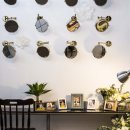 다노이218 이미지