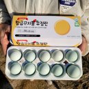 청계식품 | 청계알 효능, 청계란 계란 청란 차이점 쉽게 알려드려요