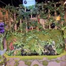 정원치과의원 | [방문리뷰] 안산 고잔동 맛집 육담 고기로 말하다 고기 질 좋은 한돈 오겹살 🥩