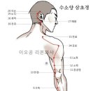 Re: 삼초경락 천료혈 이미지