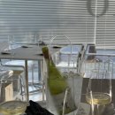 퇴촌로-1 이미지