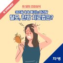 365일 쑥쑥 빠지는 머리칼...탈모, 한방 치료법은? 이미지