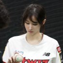 MZ따라잡기 인스타그램 이미지