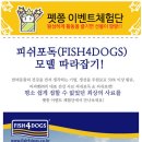 퍼피&피쉬 이미지