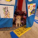 부산 사하구 감천문화마을 오리밥주기체험 카페 <b>더프</b>커피