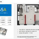 올리브 비치 이미지