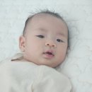생후 91,92일차_조치원복숭아축제 갔다가 호닭구이만들뻔한 썰푼다
