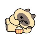 까사드마르 이미지