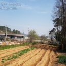 동하부동산공인중개사사무소 이미지