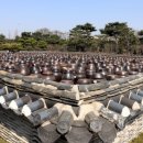 숨쉬는항아리 이미지