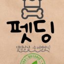 펫딩 이미지