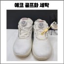 에코바이옴 | 에코 골프화 세탁 바이옴 H4 보아 후기 / 밑창까지 관리해주는 세탁업체 추천