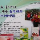 고흥 농장 이미지