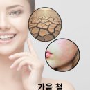 블랑드바비 이미지