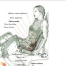 YS휘트니스 2호점 이미지