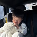속초뽑기방 | 260312~13 카시아속초프리미어킹베드 30개월아기랑 속초여행