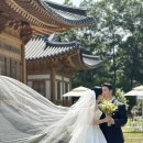 스케치플라워 | [사랑재] 자연과 한옥이 어우러진 국회의사당 플라워스타일링 후기스케치 / 웨딩두잇with이유스타일