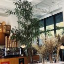 묘한향기 | [내돈내산] 묘한 매력이 넘치는 향기 좋은 마산동카페 <시야주>카페 방문후기!