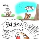 도토리우주선 이미지