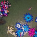 토마토의원 이미지