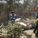 일봉농장 이미지