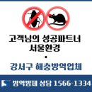 여우애김밥우