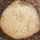 은평-061 이미지