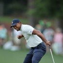 타이어우즈 이미지