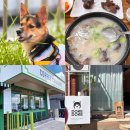 도캐도캐 | 차ㅣ목포 현지인 맛집 평화순대ㅣ에그타르트 맛집 커피창고로ㅣ진도개테마파크ㅣ진도 도캐도캐 귀여운 카페